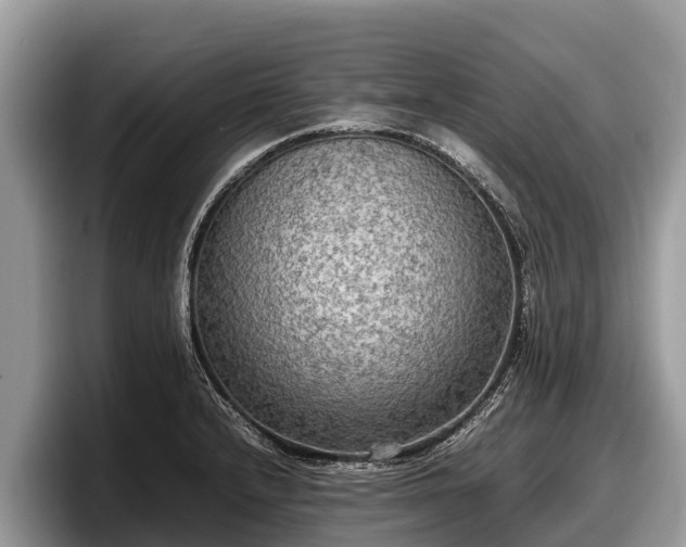 X0000097881232200803211328