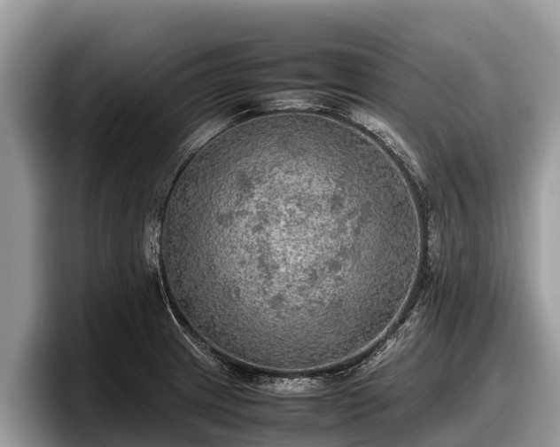 X0000097881233200803211328
