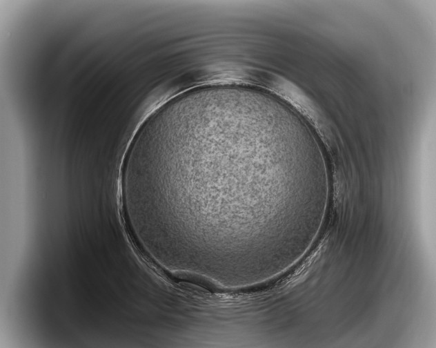X0000097881234200803211328