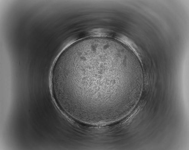 X0000097881235200803211328