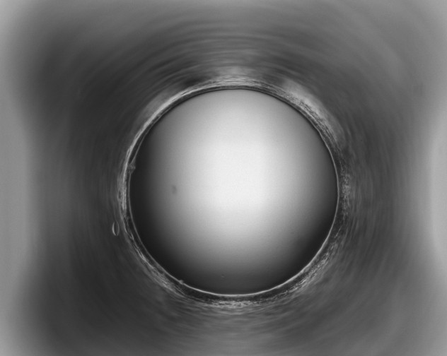X0000097881236200803211328