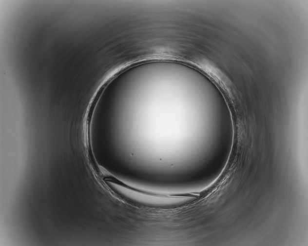 X0000097881238200803211328