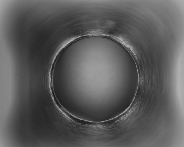 X0000097881239200803211328