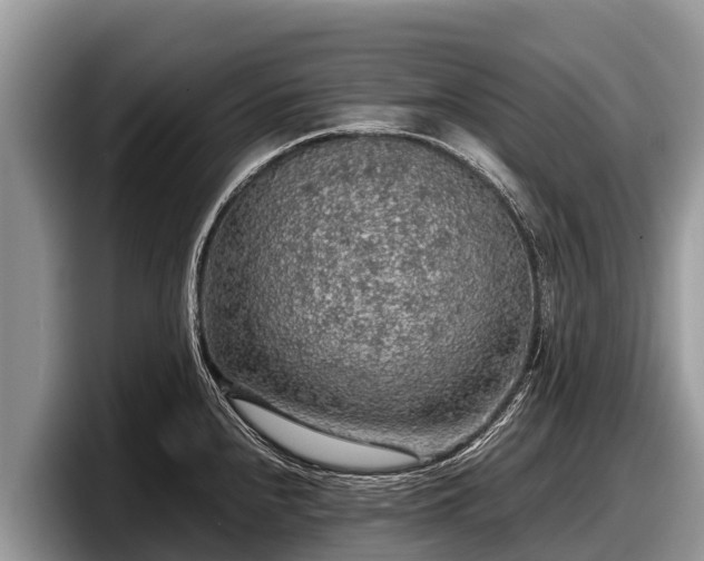 X0000097881240200803211328