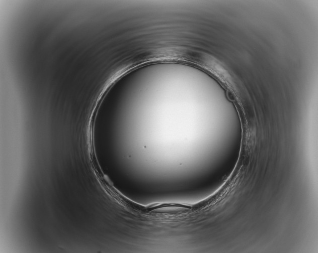 X0000097881242200803211328