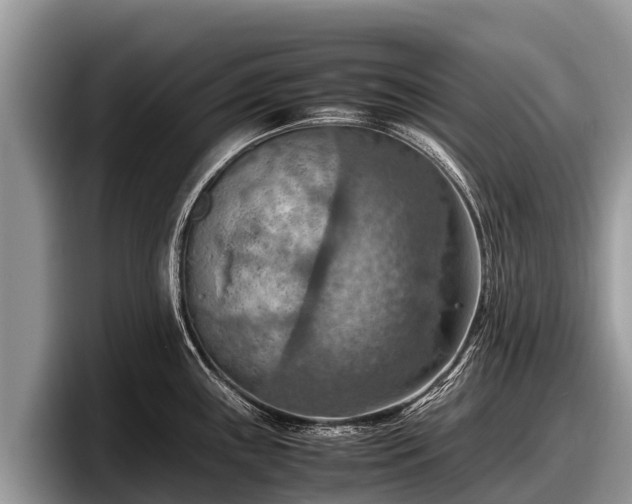 X0000097881243200803211328