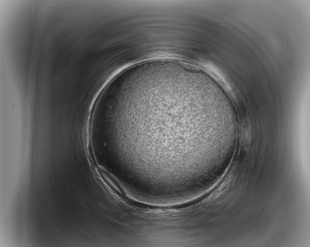 X0000097881244200803211328