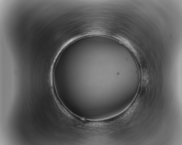 X0000097881246200803211328