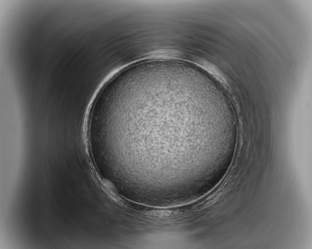 X0000097881248200803211328