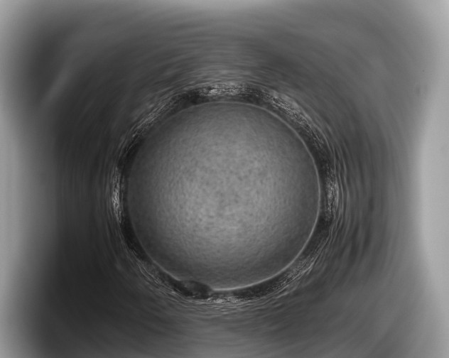 X0000097881250200803211327