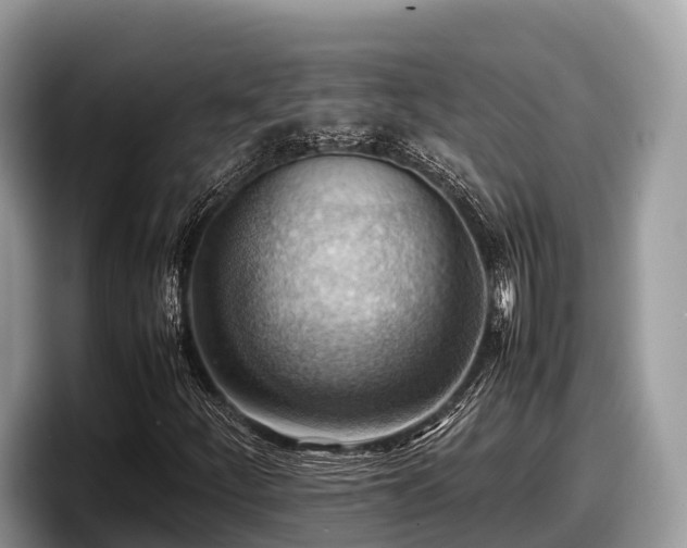 X0000097881252200803211327
