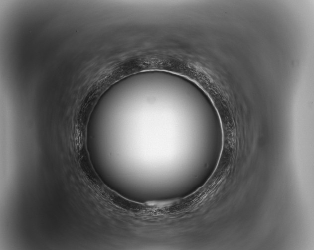 X0000097881253200803211327
