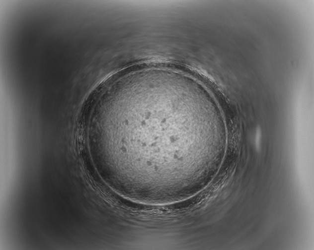 X0000097881255200803211327