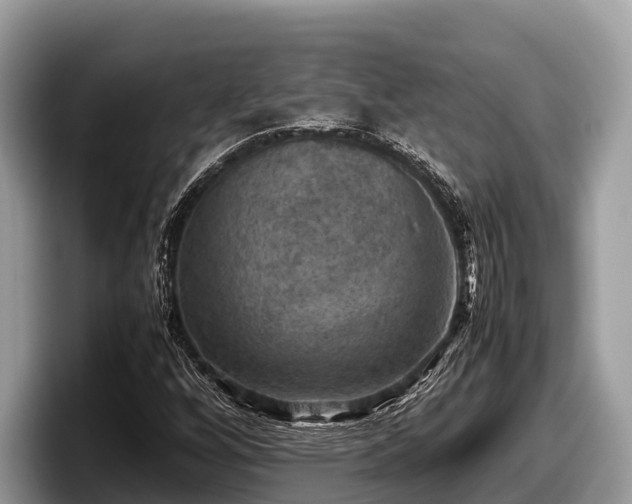 X0000097881256200803211327
