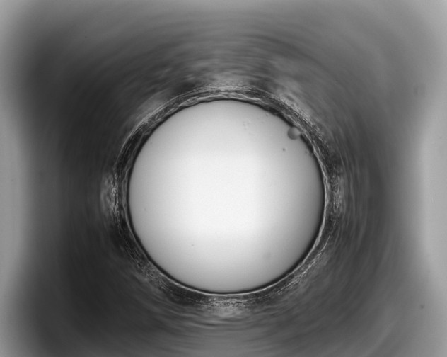 X0000097881258200803211327
