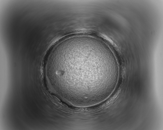X0000097881259200803211327