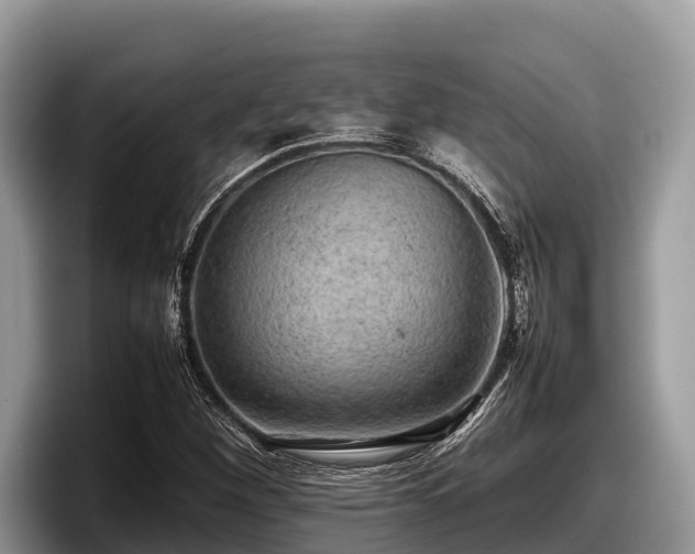 X0000097881260200803211327
