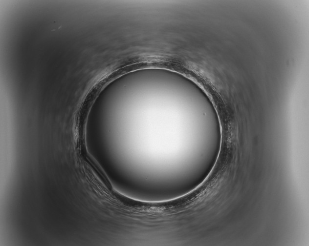 X0000097881261200803211327
