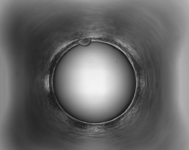 X0000097881262200803211327