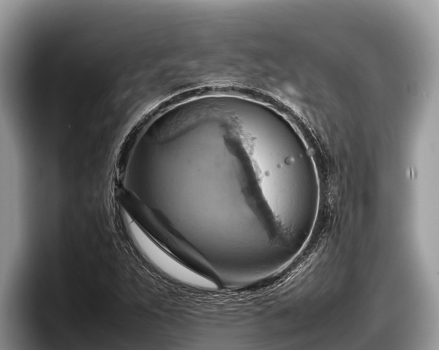 X0000097881263200803211327