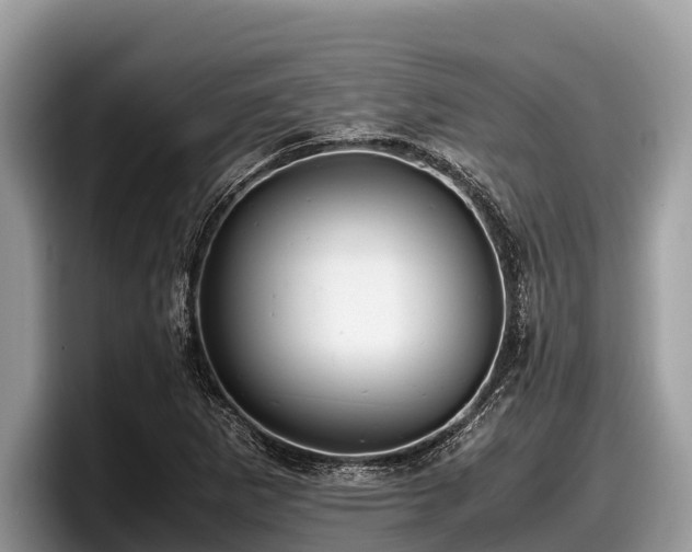X0000097881265200803211327