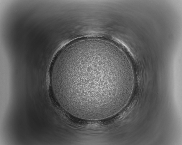 X0000097881267200803211327