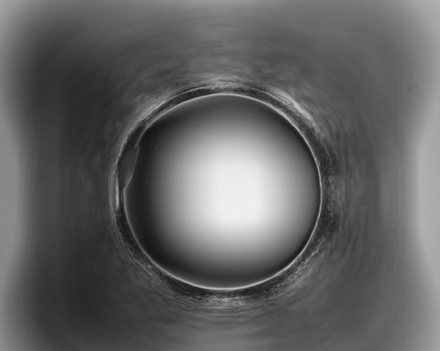 X0000097881269200803211327
