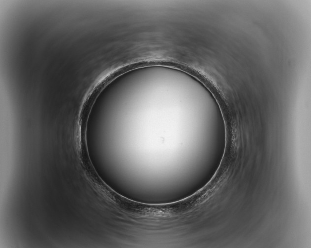 X0000097881270200803211327