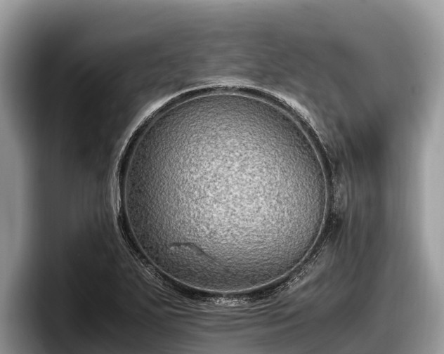 X0000097881271200803211327