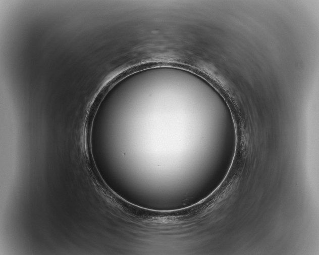 X0000097881272200803211327