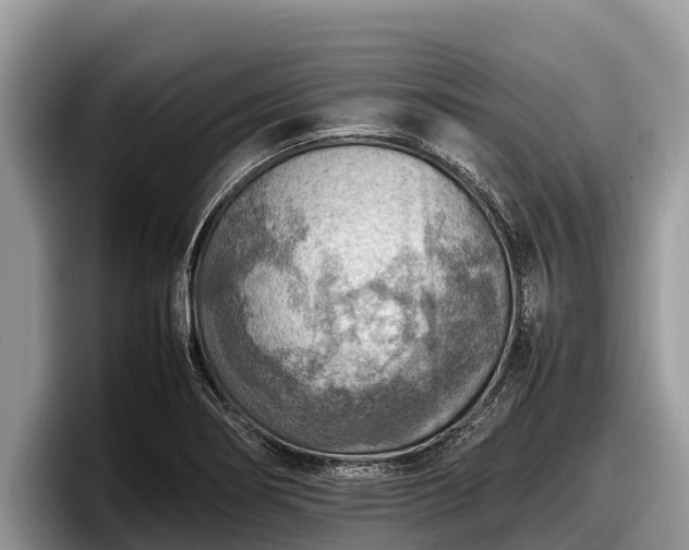 X0000097881274200803211327