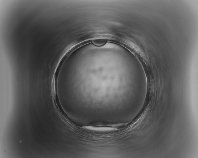 X0000097881275200803211327