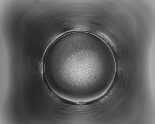 X0000097881276200803211327