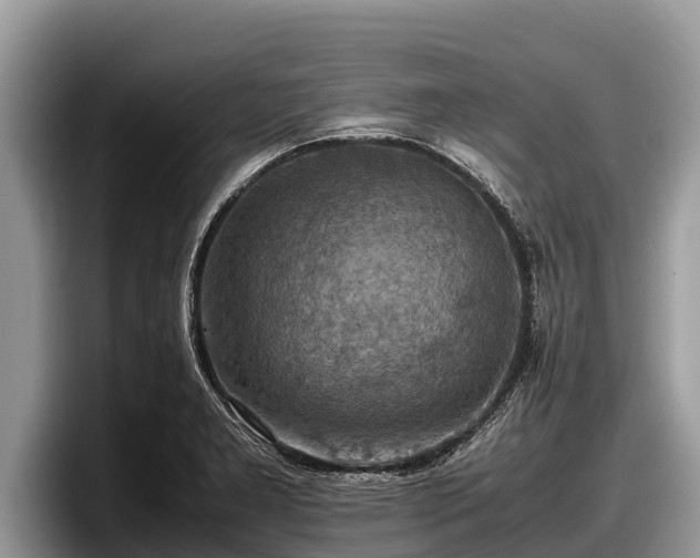 X0000097881277200803211327