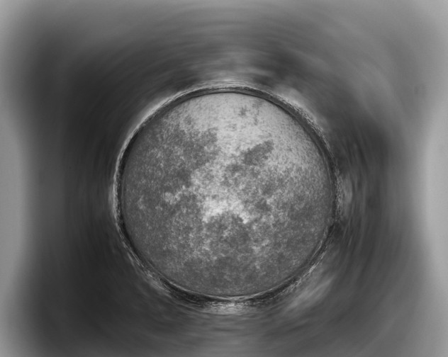 X0000097881278200803211327