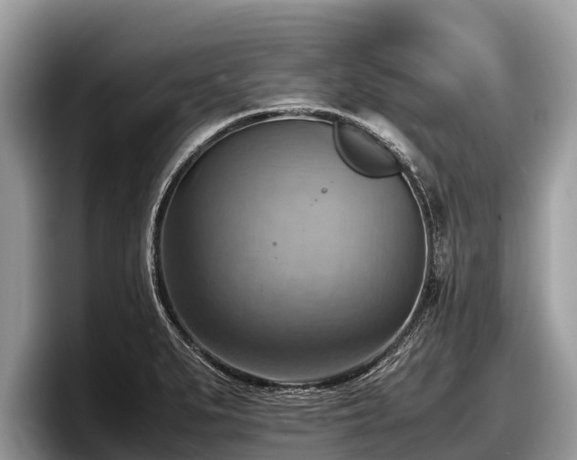 X0000097881279200803211327