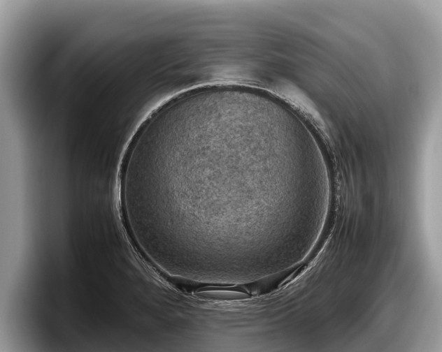 X0000097881280200803211327