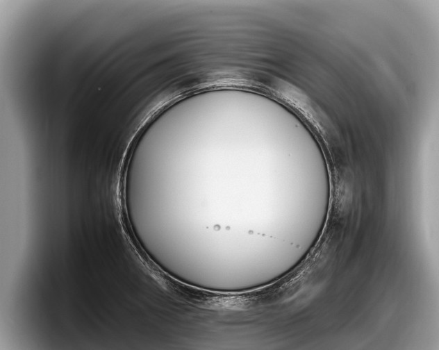 X0000097881282200803211327