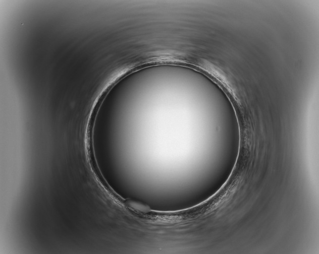 X0000097881285200803211327