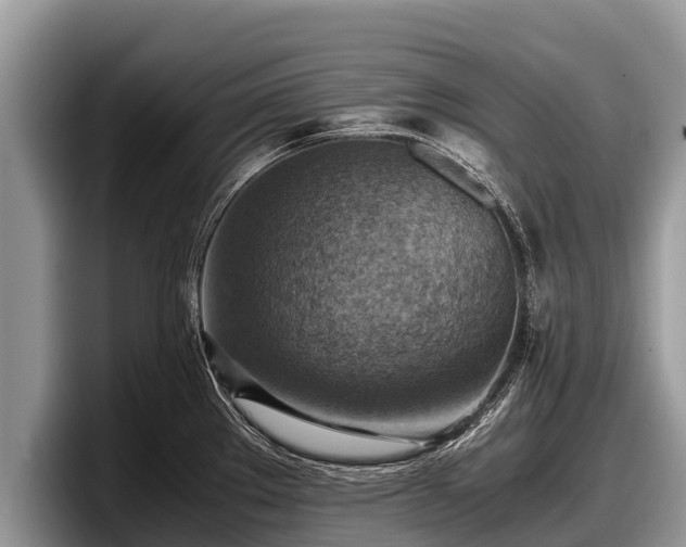 X0000097881289200803211327
