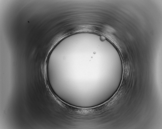 X0000097881290200803211327