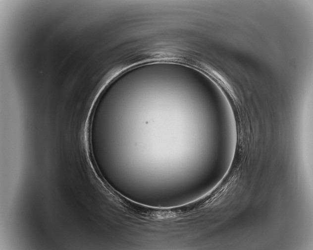 X0000097881291200803211327