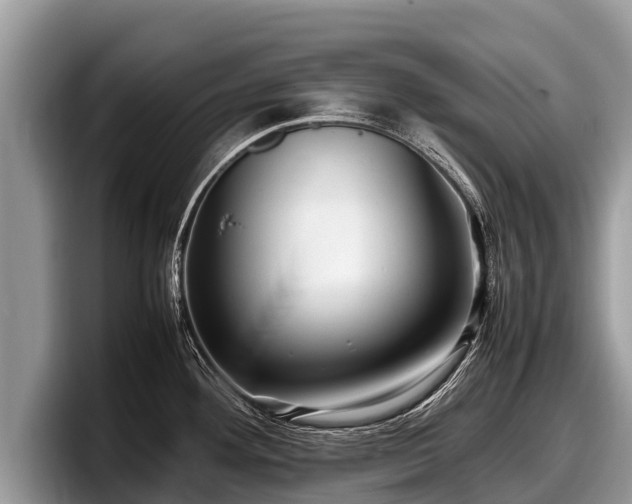 X0000097881292200803211327
