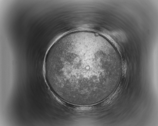 X0000097881294200803211327