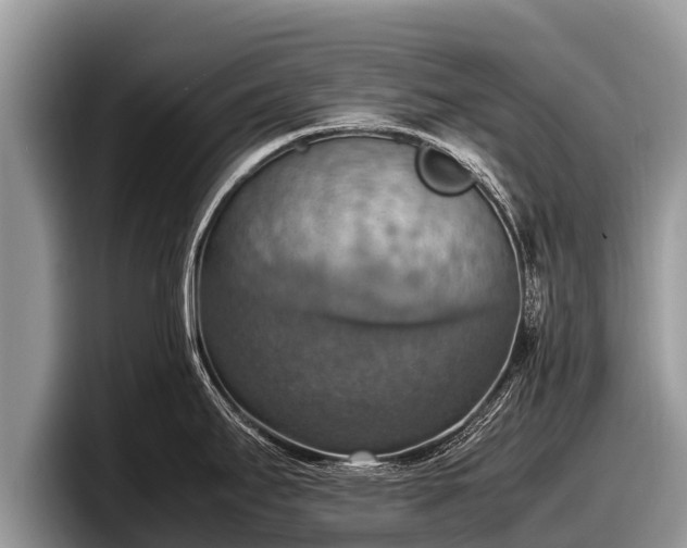 X0000097881295200803211327