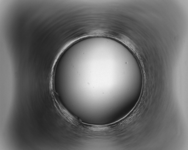 X0000097881296200803211327