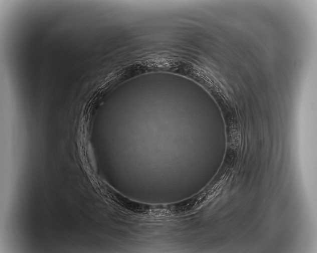 X0000097881297200803211326