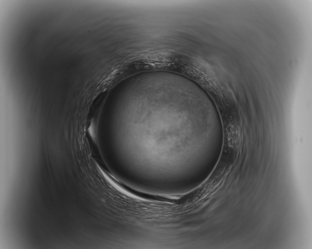 X0000097881298200803211326