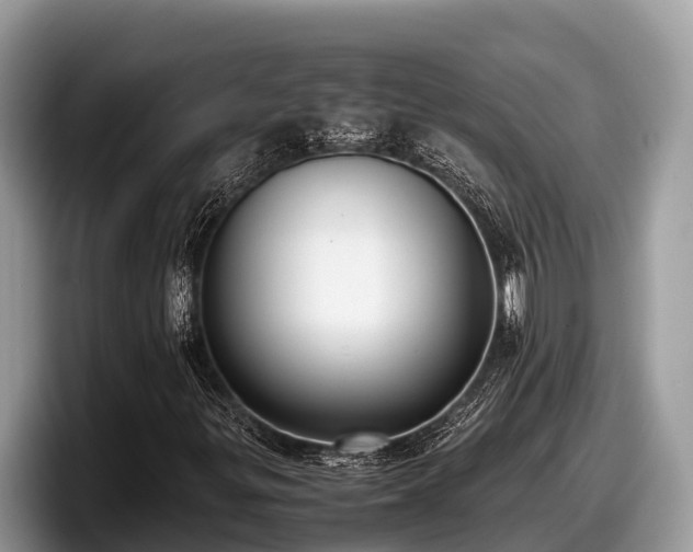 X0000097881299200803211326