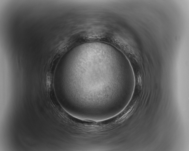 X0000097881300200803211326